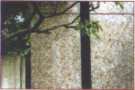 photo10.gif (53221 octets)
