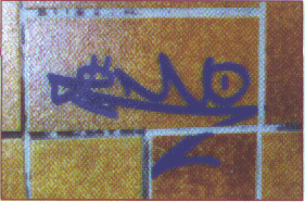 photo11.gif (44442 octets)