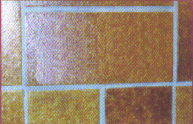 photo12.gif (43948 octets)