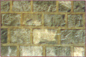 photo13.gif (51483 octets)