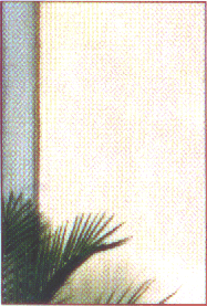 photo15.gif (39242 octets)