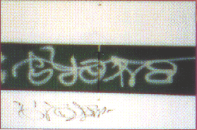 photo17.gif (38424 octets)