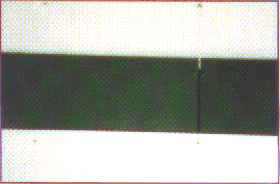 photo18.gif (27950 octets)