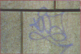 photo19.gif (48325 octets)