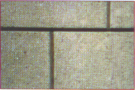 photo20.gif (52207 octets)