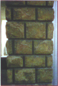 photo5.gif (43505 octets)