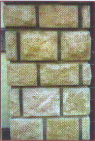 photo6.gif (51308 octets)