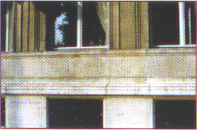 photo8.gif (46051 octets)