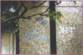 photo9.gif (53097 octets)